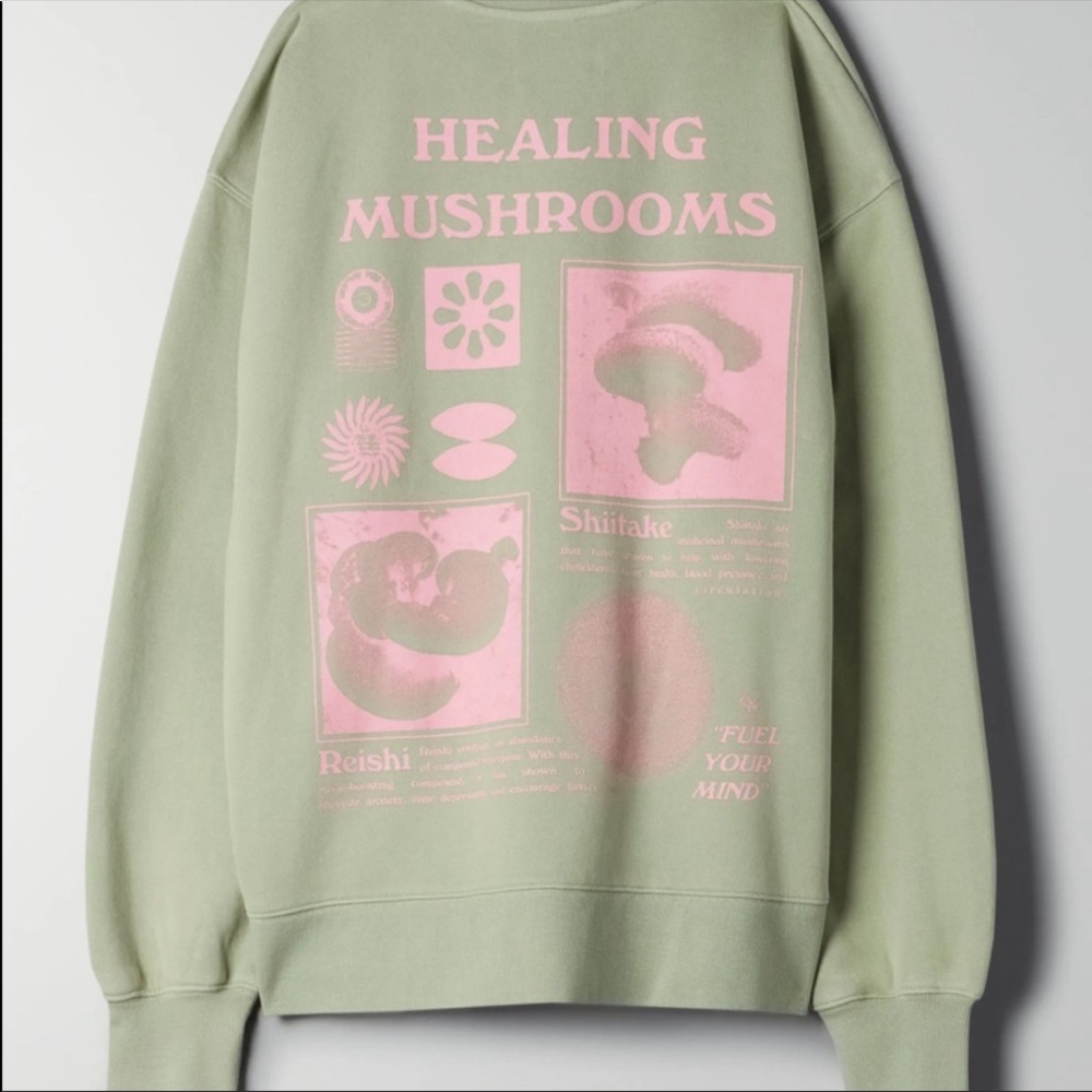 ISO Aritzia sweatshirt